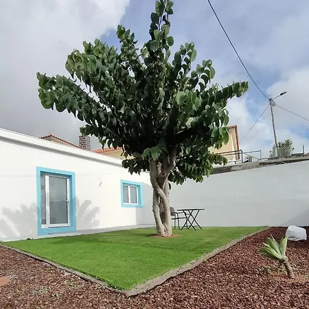 Madeira Blue House Кальета